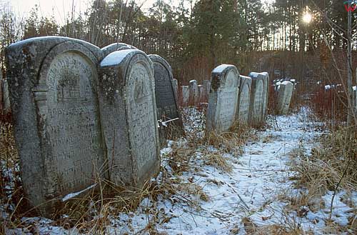 Cmentarz zydowski w Jozefowie.